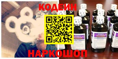крисы Славгород