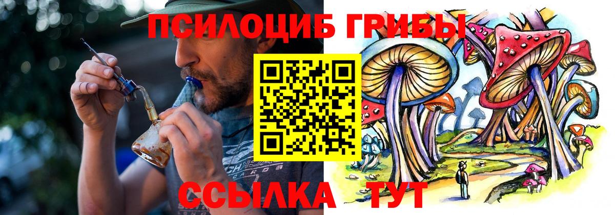 Псилоцибиновые грибы Cubensis  Вход с VPN  Обь 