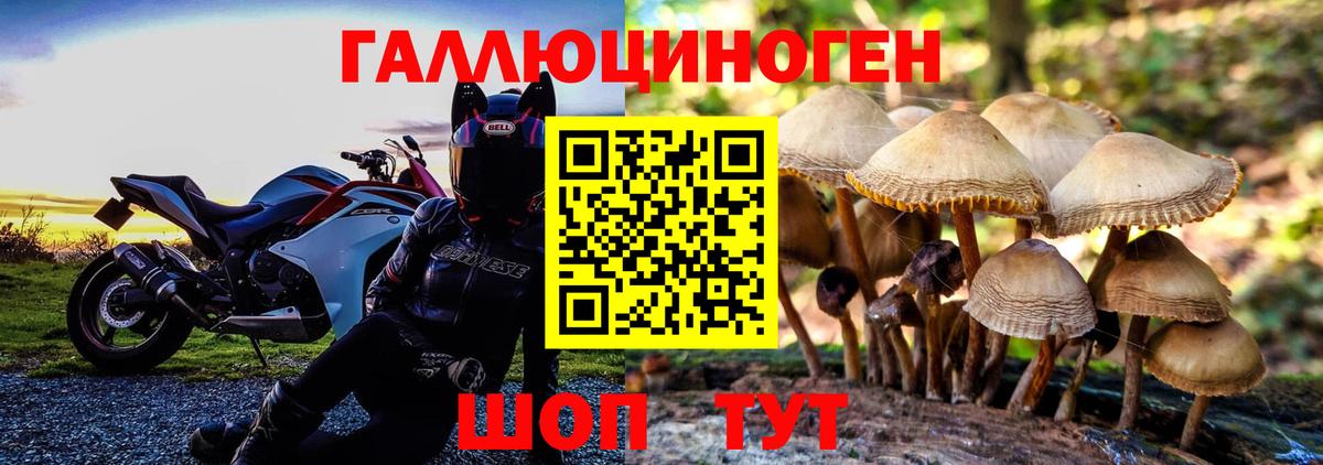 Псилоцибиновые грибы прущие грибы Обь